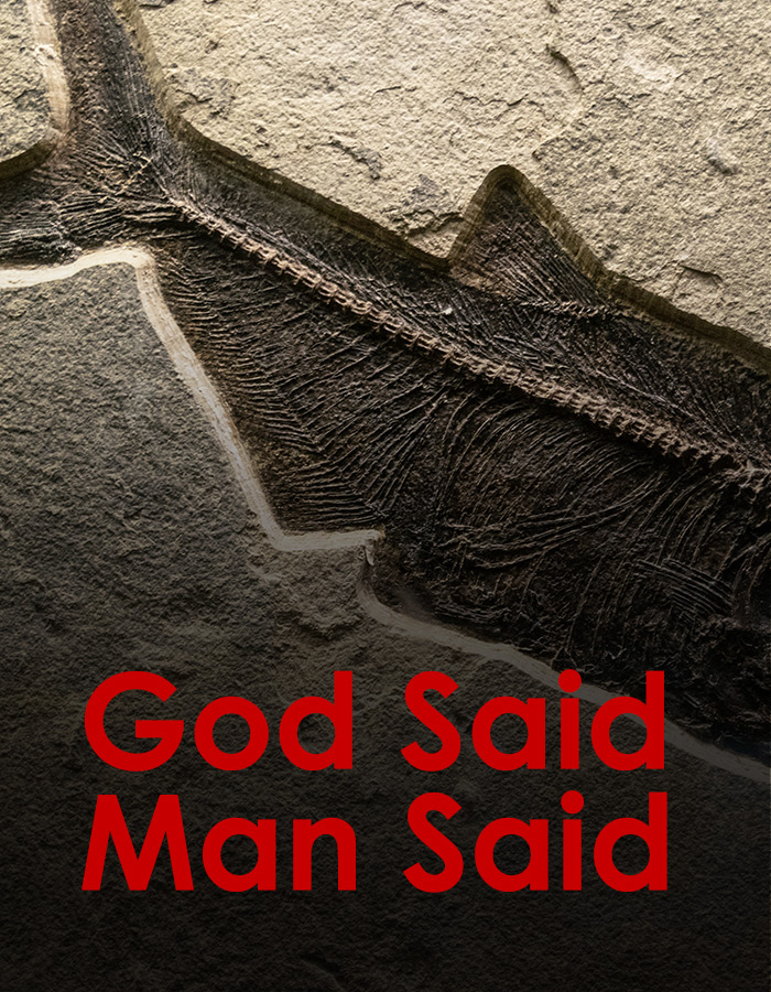 God Said Man Said